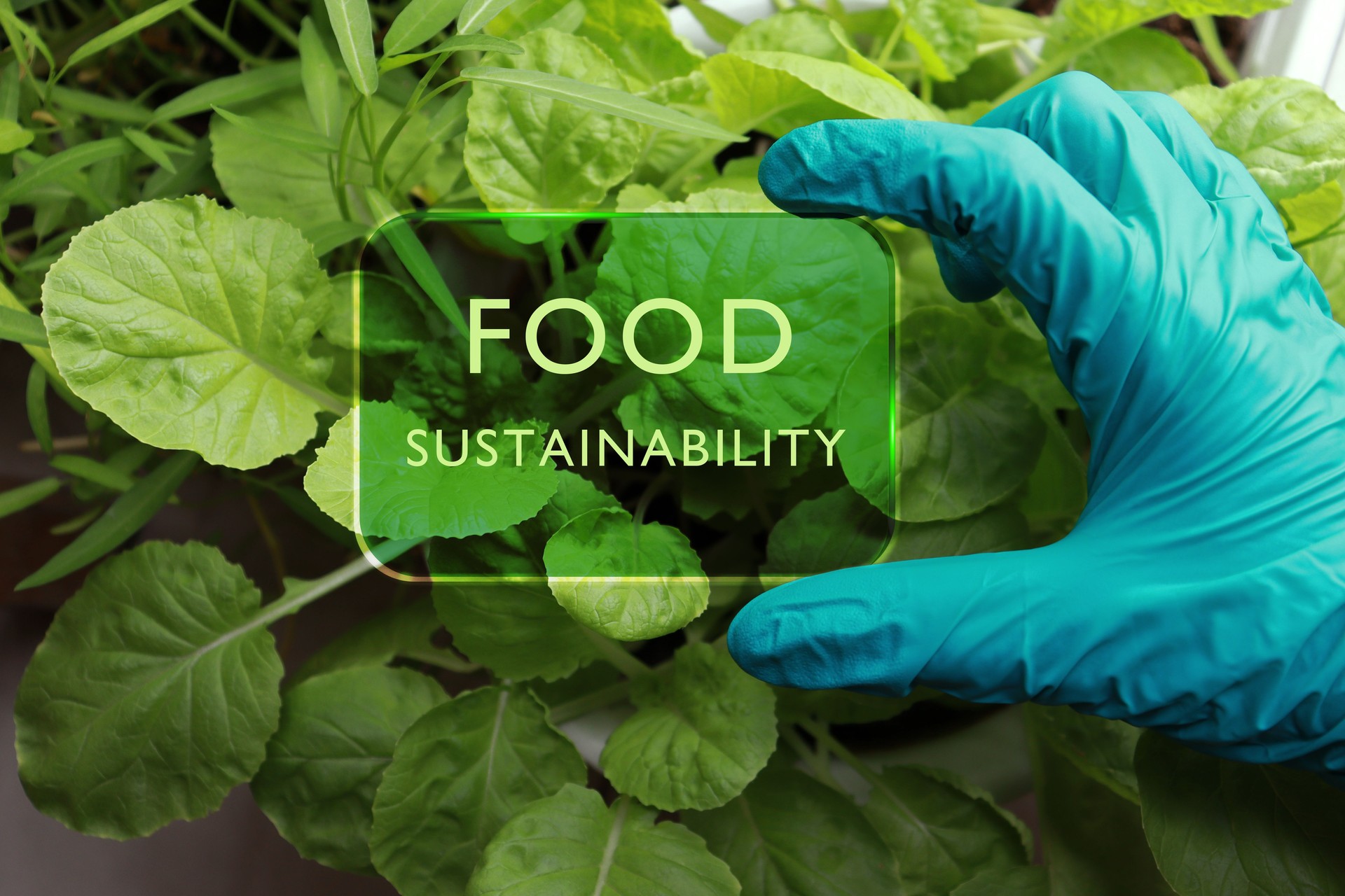 Food sustainability, green economy, sustainable business.